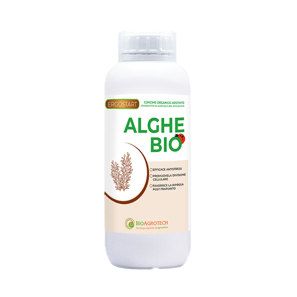 concime organico alghe brune ascophyllum nodosum